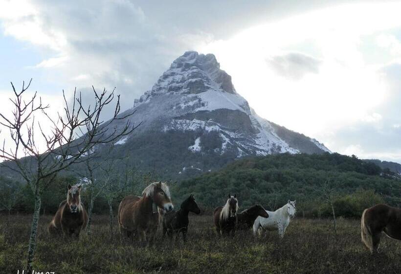 Apartamentos Herri Ondo Refugio Climatico