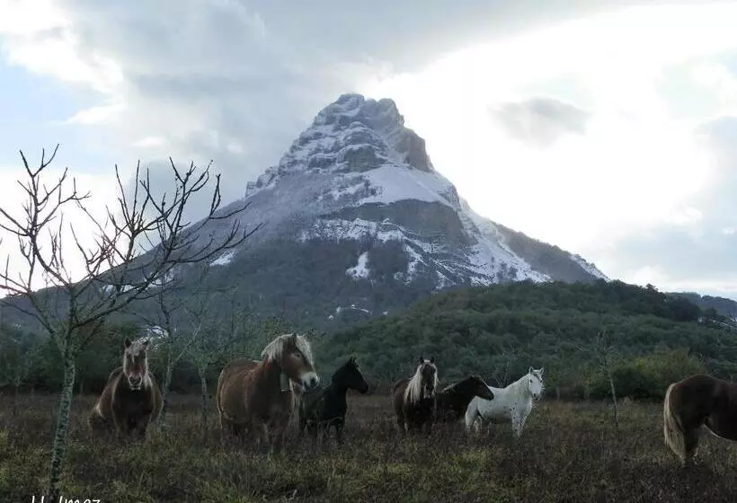 Apartamentos Herri Ondo Refugio Climatico
