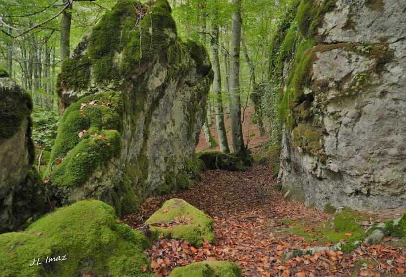 Apartamentos Herri Ondo Refugio Climatico