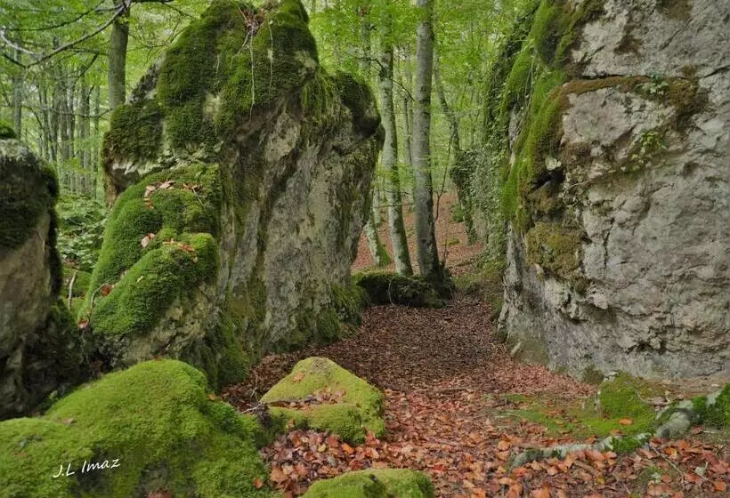 Apartamentos Herri Ondo Refugio Climatico