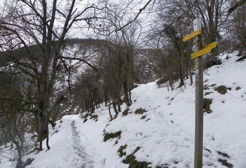 Apartamentos Herri Ondo Refugio Climatico