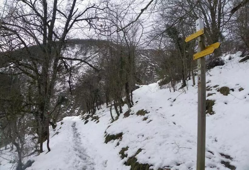 Apartamentos Herri Ondo Refugio Climatico