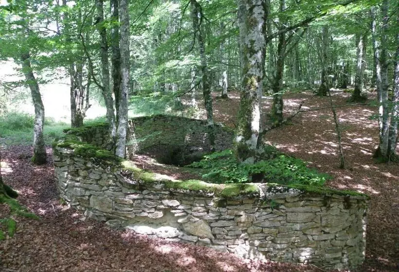 Apartamentos Herri Ondo Refugio Climatico