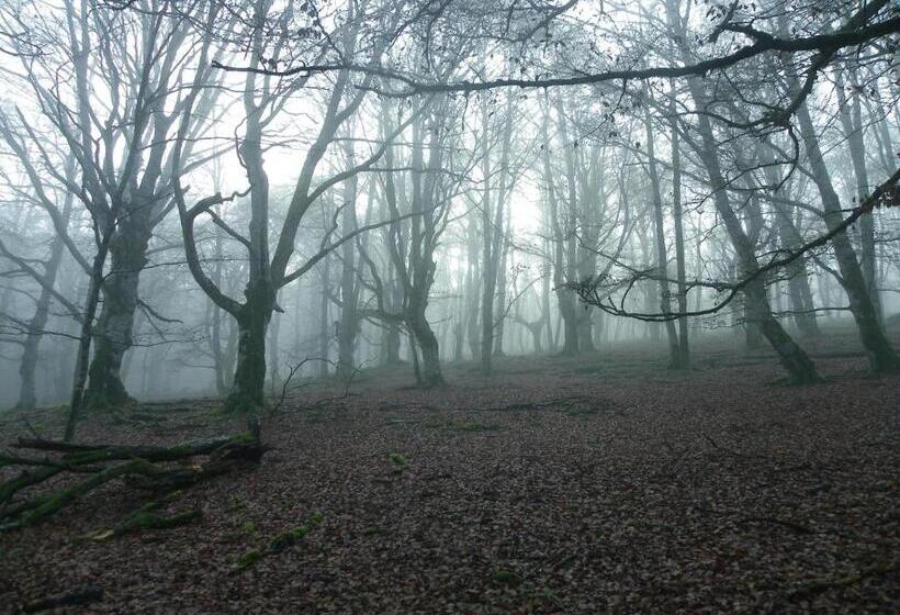 Apartamentos Herri Ondo Refugio Climatico