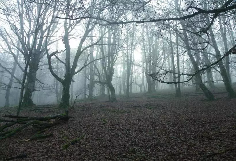 Apartamentos Herri Ondo Refugio Climatico