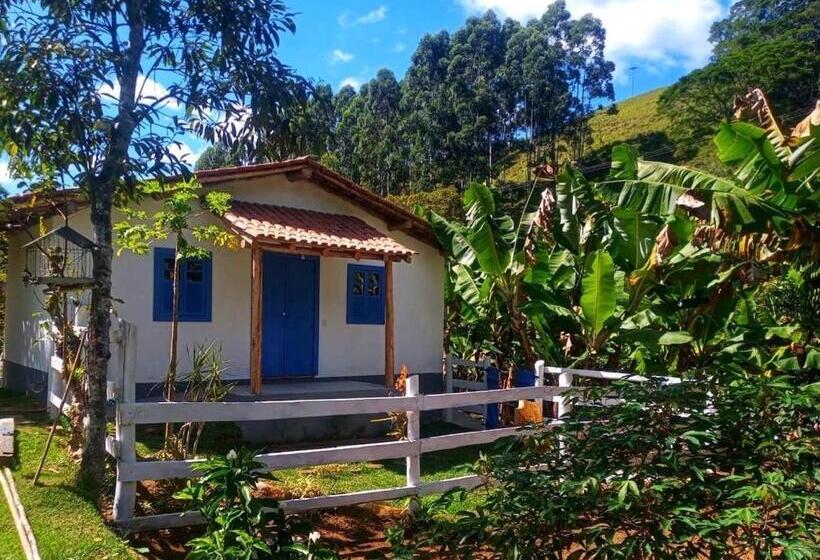 Casinhas Em Terras Frias