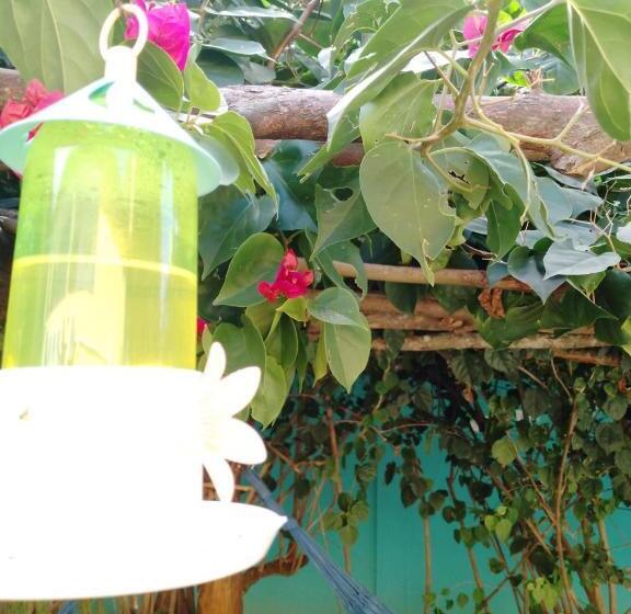 酒店 Ecomar Pousada