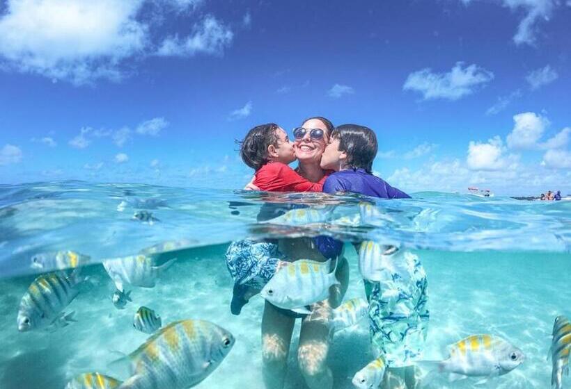 酒店 Ecomar Pousada