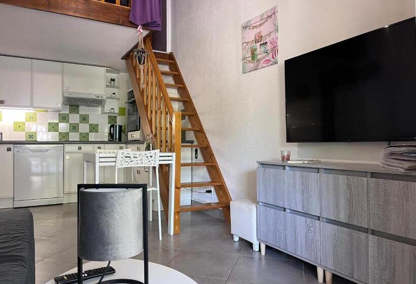 Maison De 2 Chambres Avec Jardin Clos A Leucate