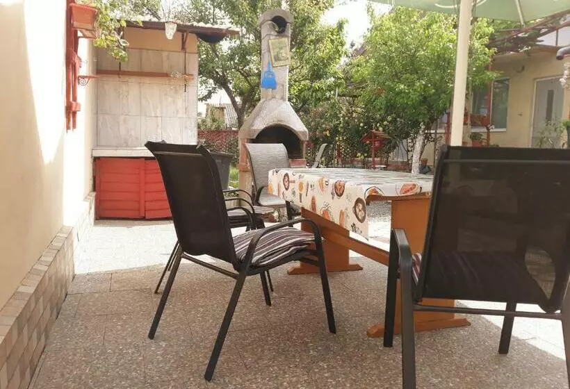 پانسیون Casa De Vacanta Alexoiu 2 Mai