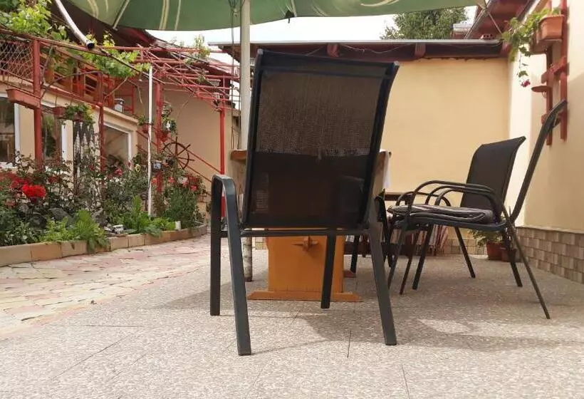 پانسیون Casa De Vacanta Alexoiu 2 Mai