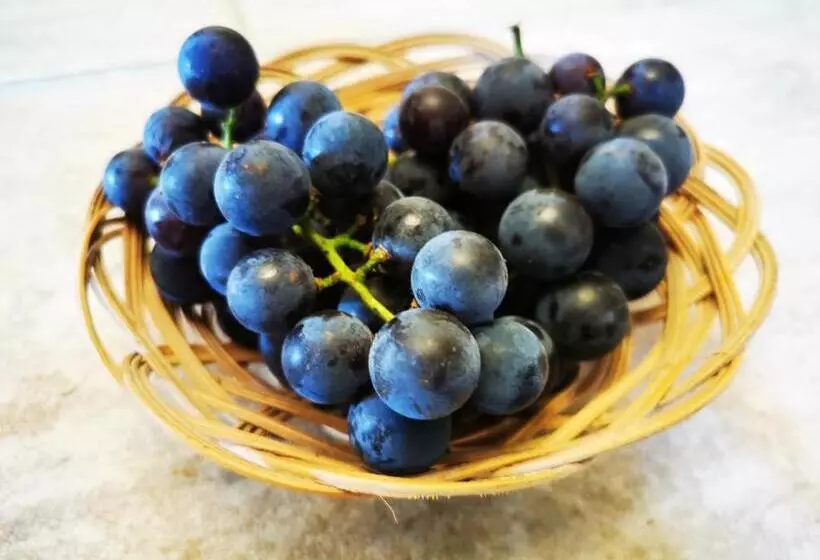 Majatalo őrség Kincse Nagy Apartman   6 Főre