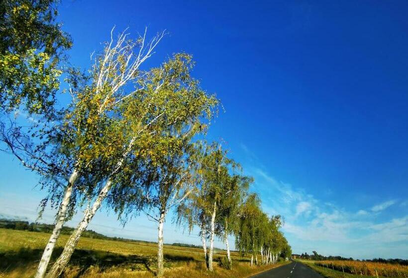 펜션 őrség Kincse Nagy Apartman   6 Főre