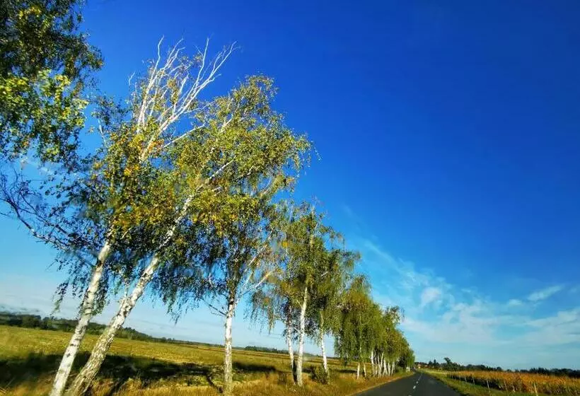 Majatalo őrség Kincse Nagy Apartman   6 Főre