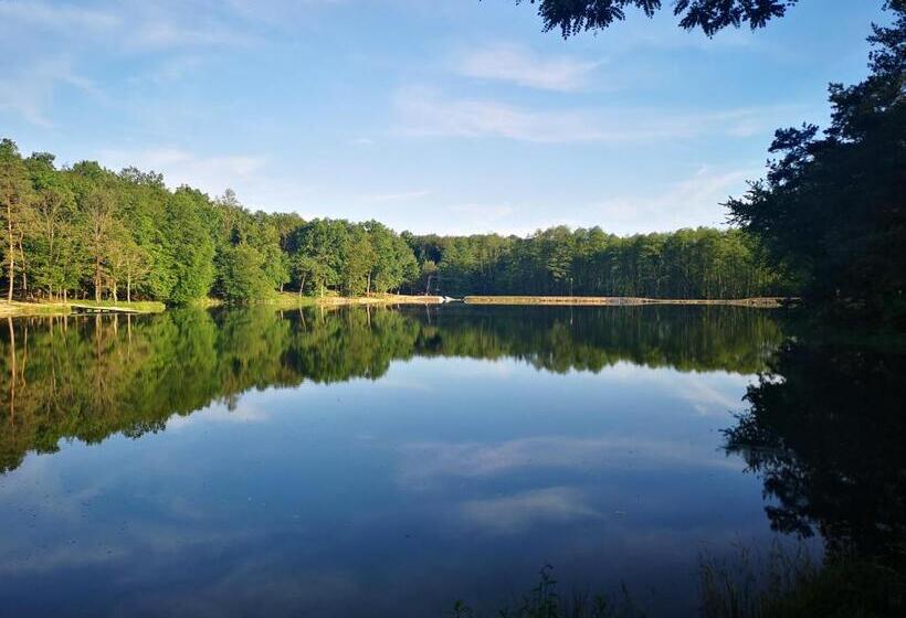 펜션 őrség Kincse Nagy Apartman   6 Főre