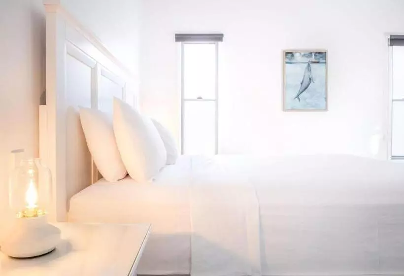 Pet Friendly House Opposite Bokarina Beach