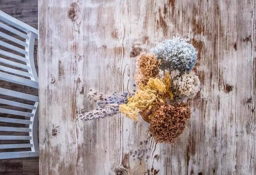 Pet Friendly House Opposite Bokarina Beach