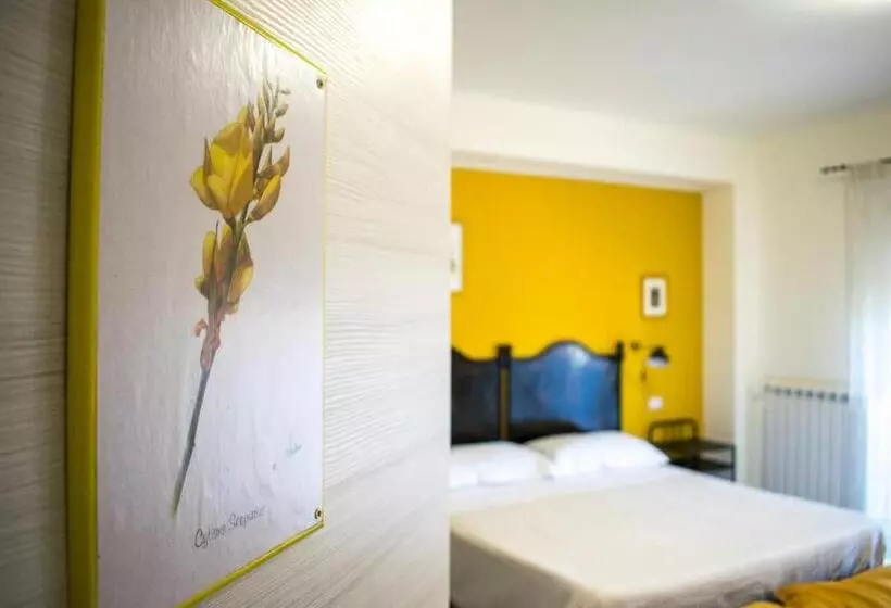B&b Fleurs