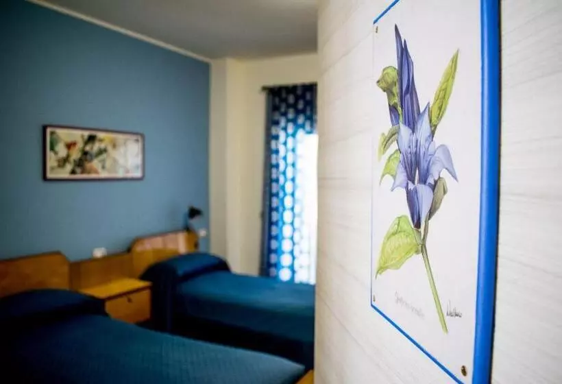 B&b Fleurs