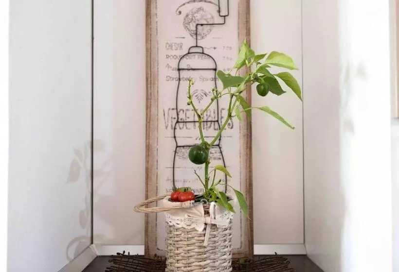 Iori Salento B&b