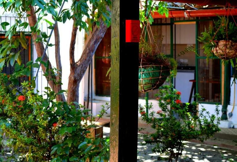 پانسیون Casa Serrano   Callejón De Don Blas 1 Hab Solera