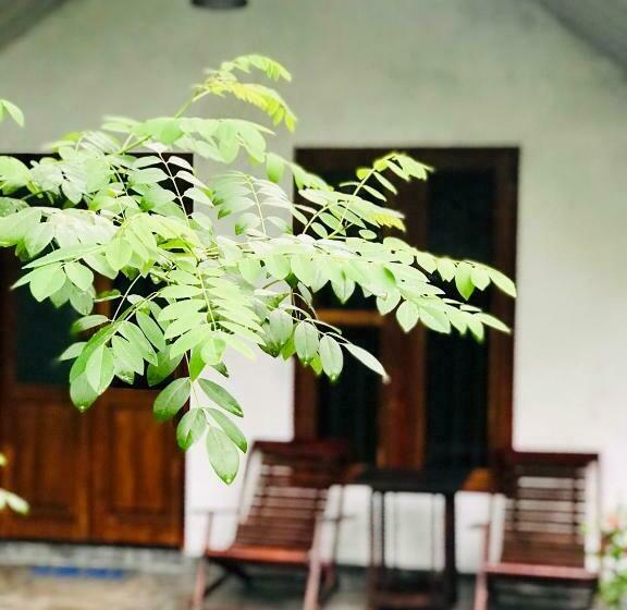 Pensionat Falcons Nest