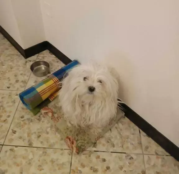 Majatalo Guest House Attico Della Vittoria