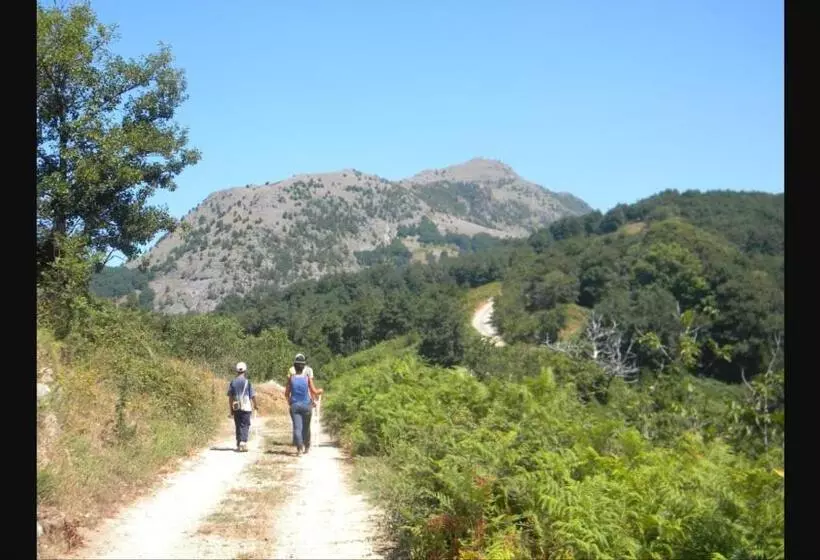 Stella D Aurora Waterview