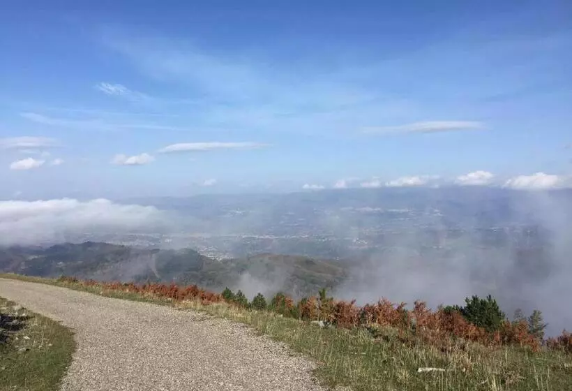 Stella D Aurora Waterview