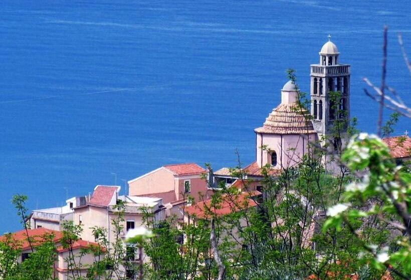 Stella D Aurora Waterview