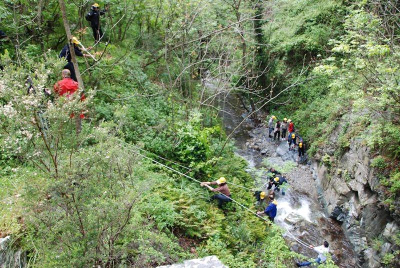 Stella D Aurora Waterview