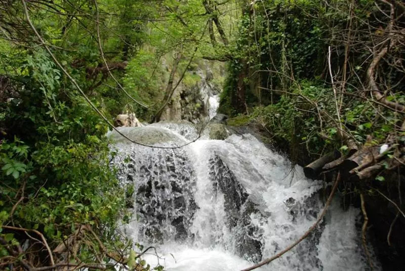 Stella D Aurora Waterview