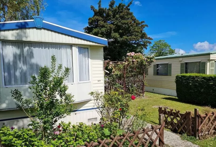 Beach Resort Kamperland 1477