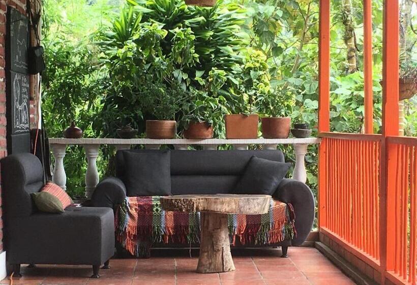 Bed and Breakfast Habitación Las Bromelias, Pijao, Finca Flora Del Rio