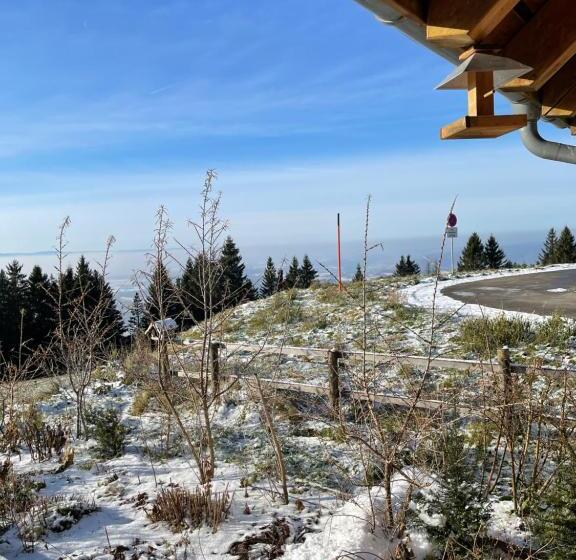 Blackforest Homestay