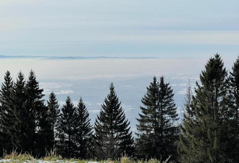 Blackforest Homestay