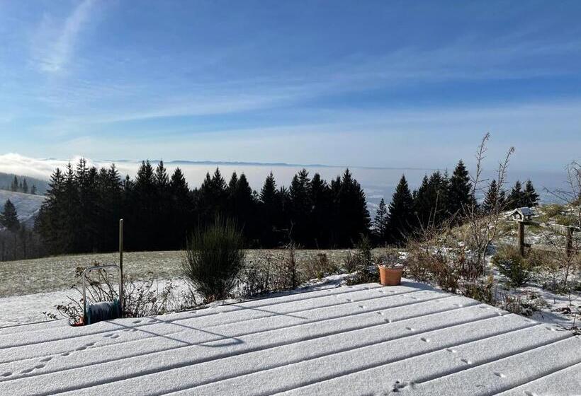 Blackforest Homestay