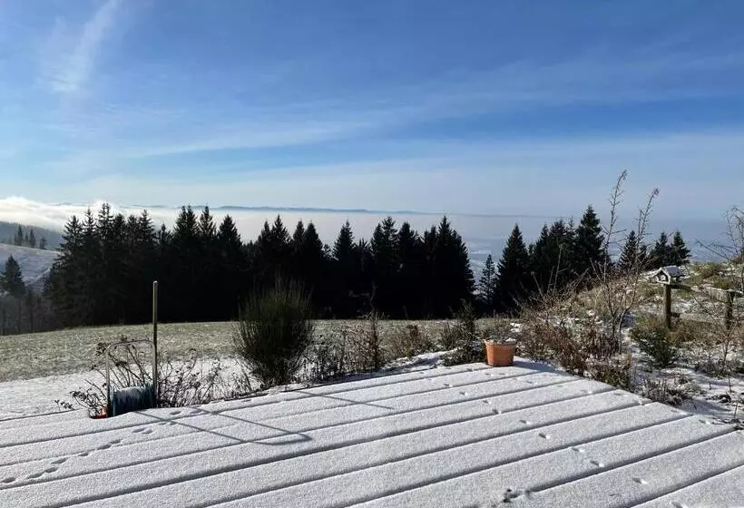 Blackforest Homestay