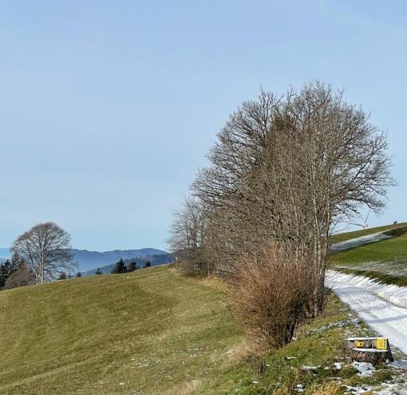 Blackforest Homestay