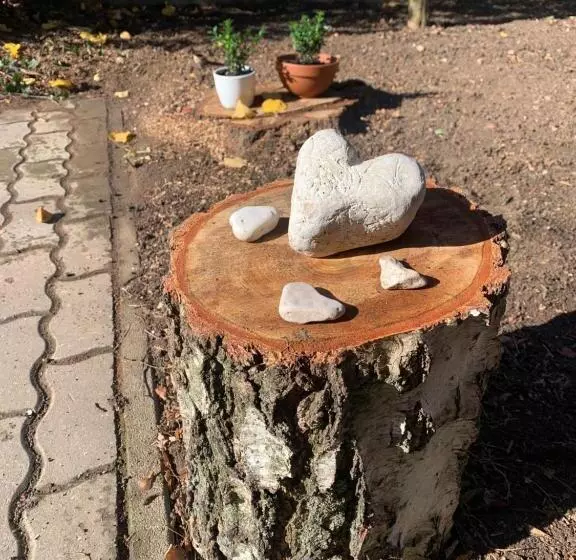 Lakelove Házikó Sopron  Erdő és Tópart Mellett