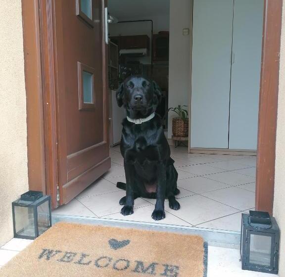 Lakelove Házikó Sopron  Erdő és Tópart Mellett