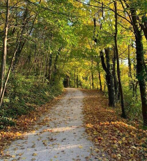 Lakelove Házikó Sopron  Erdő és Tópart Mellett