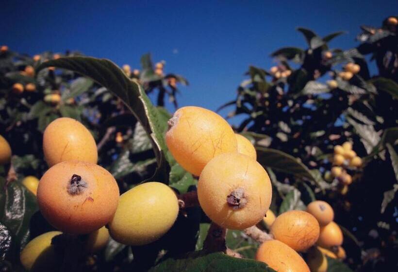 Sea And Mountain View Apartment