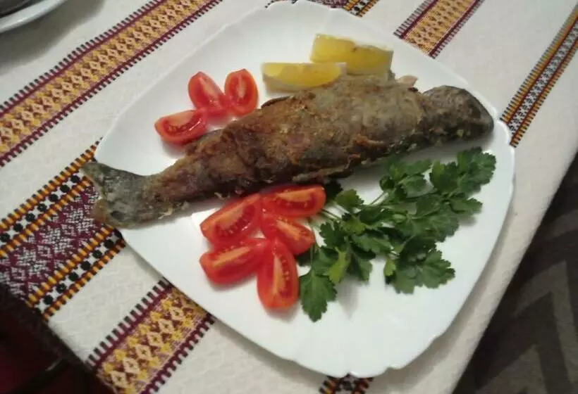 هاستل пансіонат сонечко