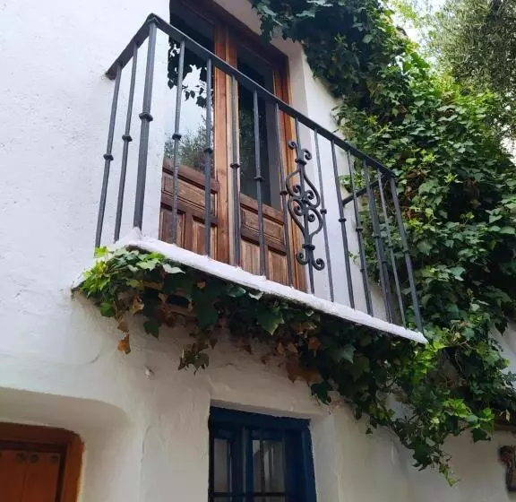 هاستل Amaka House
