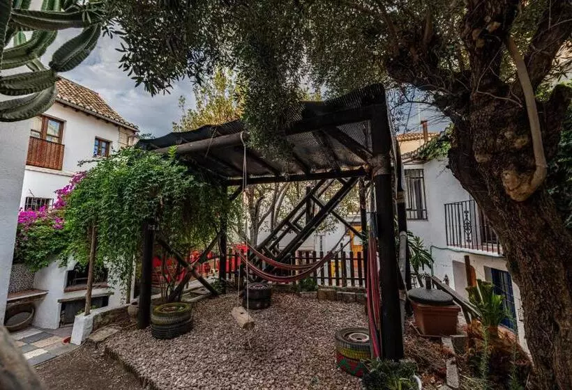 هاستل Amaka House