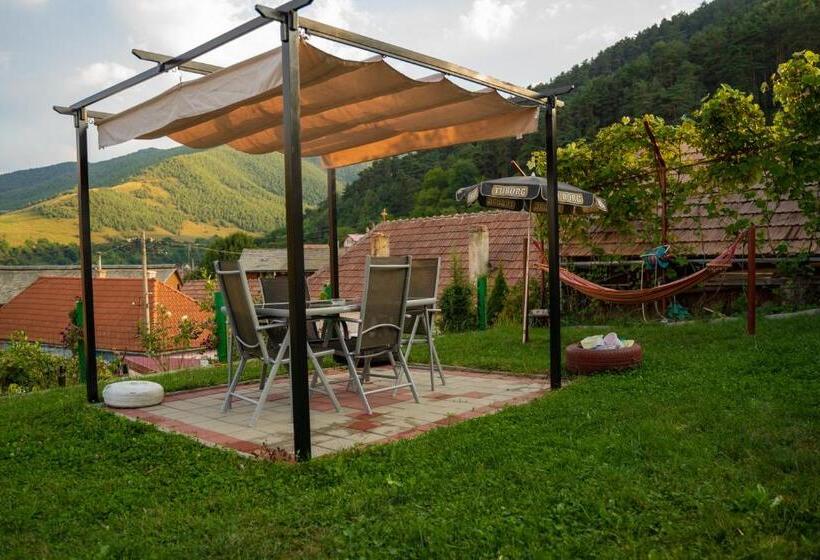 Apartament Panoramic La Casa In Comuna Rasinari