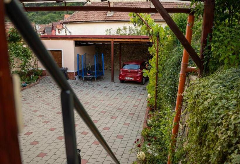 Apartament Panoramic La Casa In Comuna Rasinari