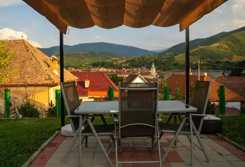 Apartament Panoramic La Casa In Comuna Rasinari