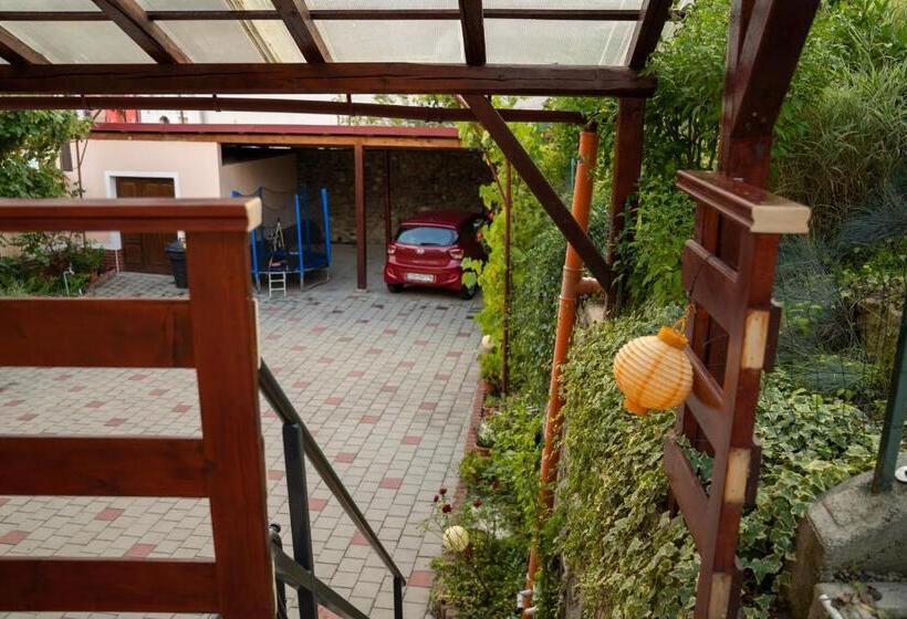 Apartament Panoramic La Casa In Comuna Rasinari